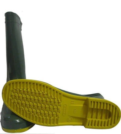 RV015