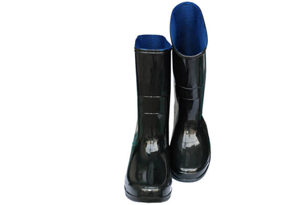 DL010